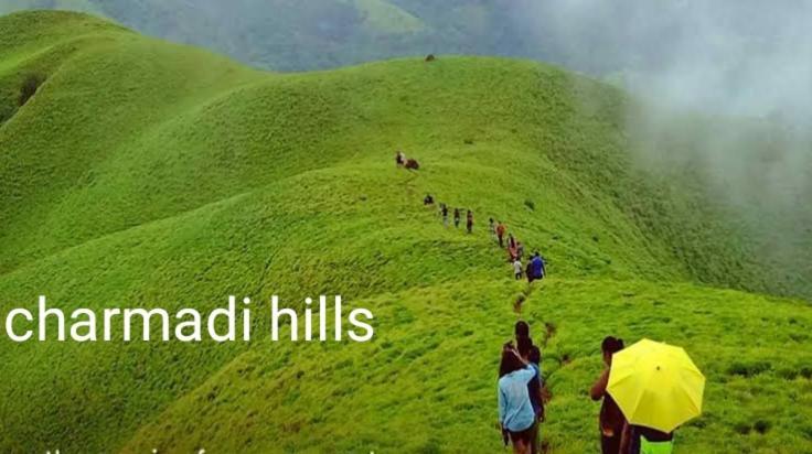 Halase Homestay Mudigere المظهر الخارجي الصورة